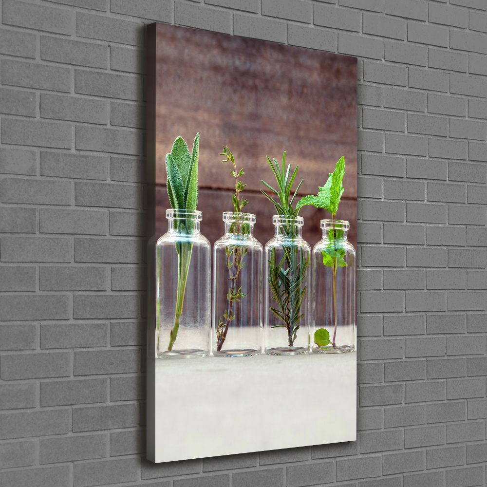 Tableau sur toile Herbes en pots