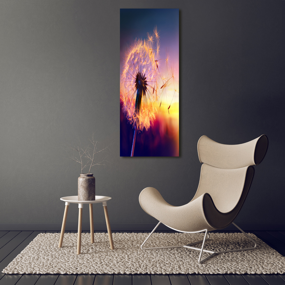 Tableau photo sur toile Pissenlit