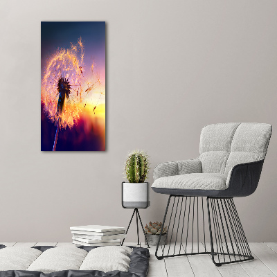 Tableau photo sur toile Pissenlit