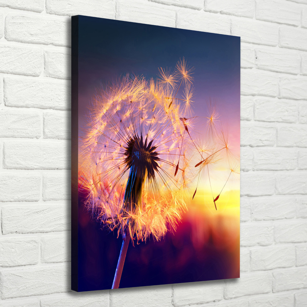 Tableau photo sur toile Pissenlit