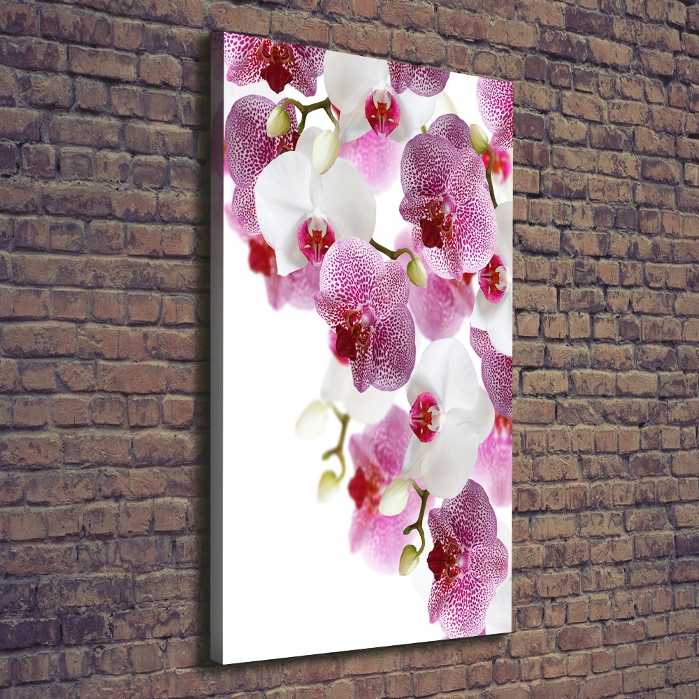 Tableau mural sur toile Orchidée