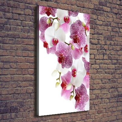 Tableau mural sur toile Orchidée