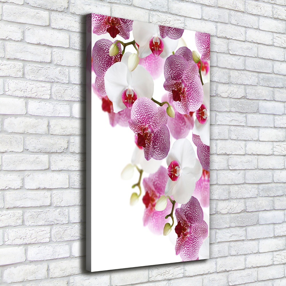 Tableau mural sur toile Orchidée