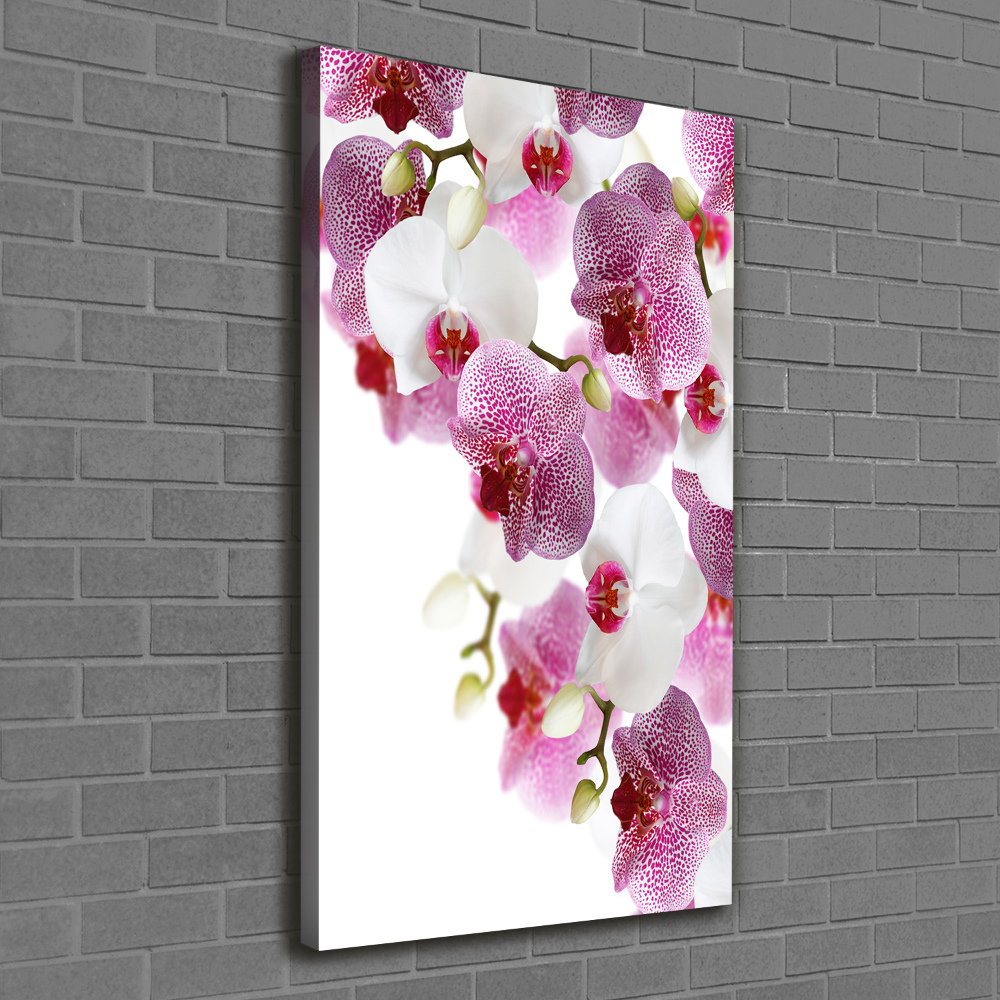 Tableau mural sur toile Orchidée