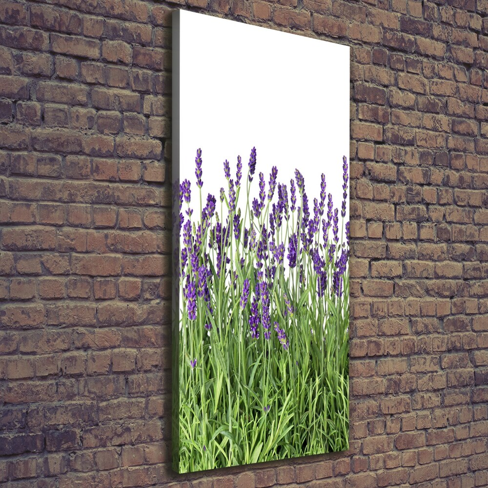 Tableau imprimé sur toile Fleurs violettes de lavande