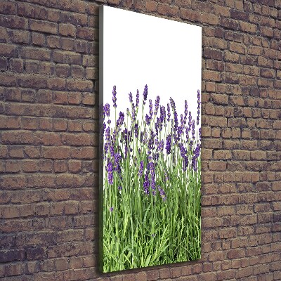 Tableau imprimé sur toile Fleurs violettes de lavande