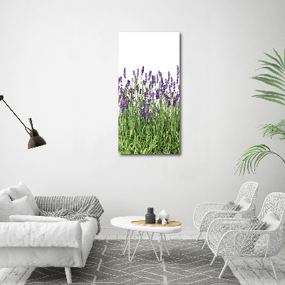 Tableau imprimé sur toile Fleurs violettes de lavande