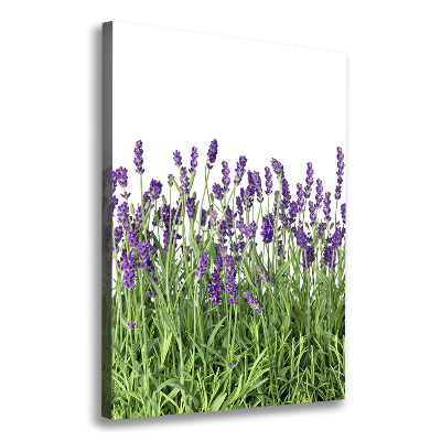 Tableau imprimé sur toile Fleurs violettes de lavande