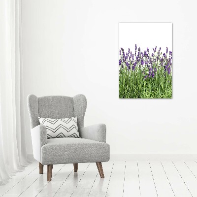 Tableau imprimé sur toile Fleurs violettes de lavande