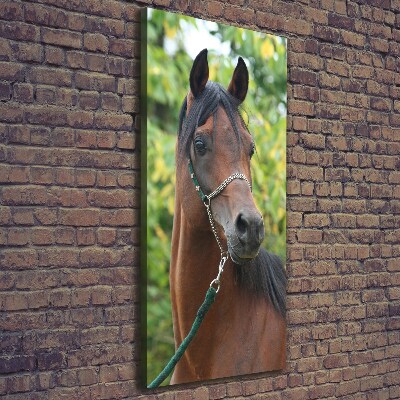 Tableau mural sur toile Portrait d'un cheval