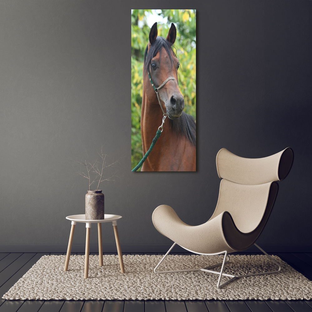 Tableau mural sur toile Portrait d'un cheval