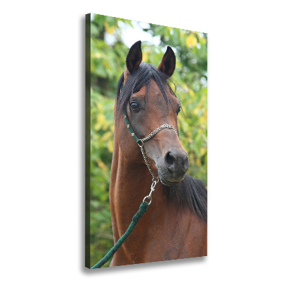 Tableau mural sur toile Portrait d'un cheval