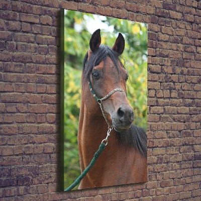 Tableau mural sur toile Portrait d'un cheval