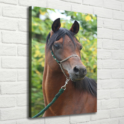 Tableau mural sur toile Portrait d'un cheval