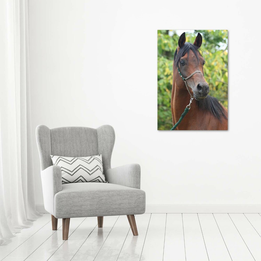 Tableau mural sur toile Portrait d'un cheval