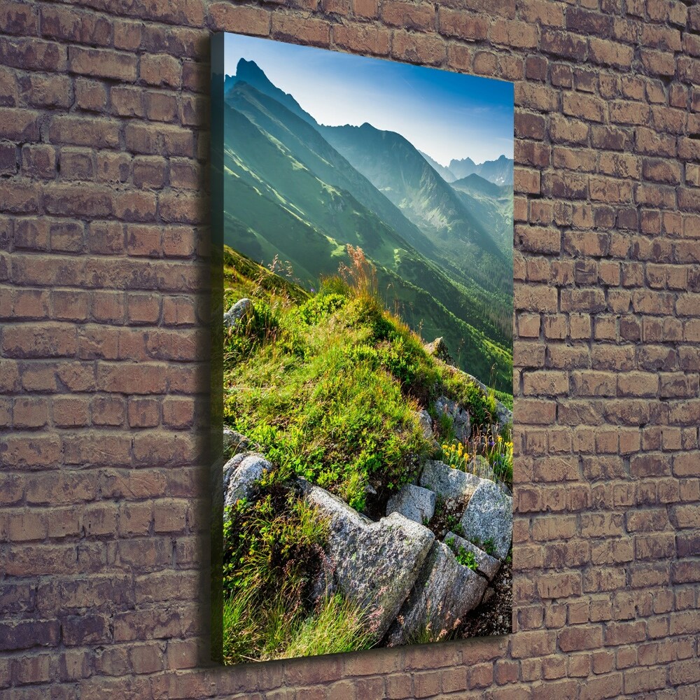 Tableau mural sur toile Montagnes en été