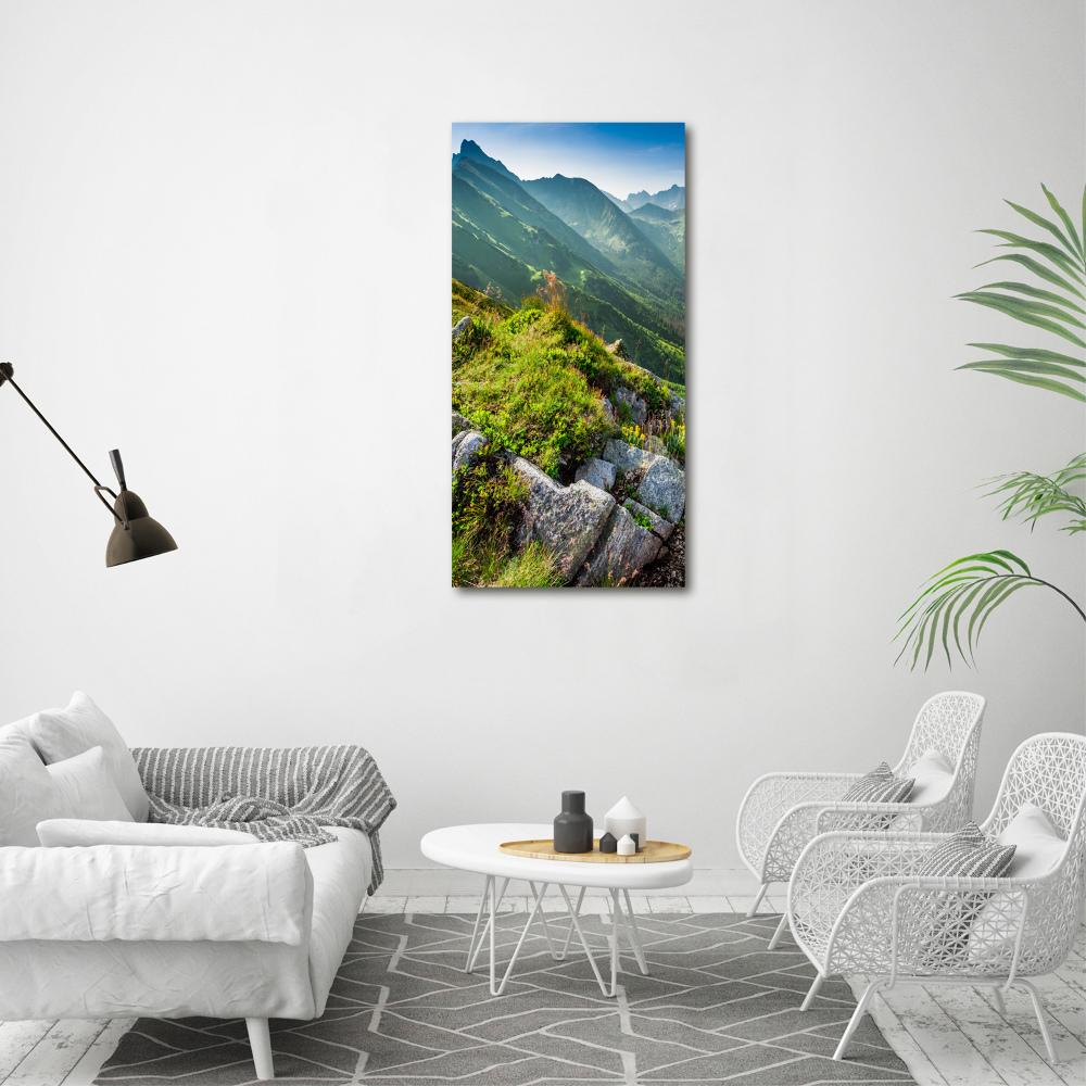 Tableau mural sur toile Montagnes en été