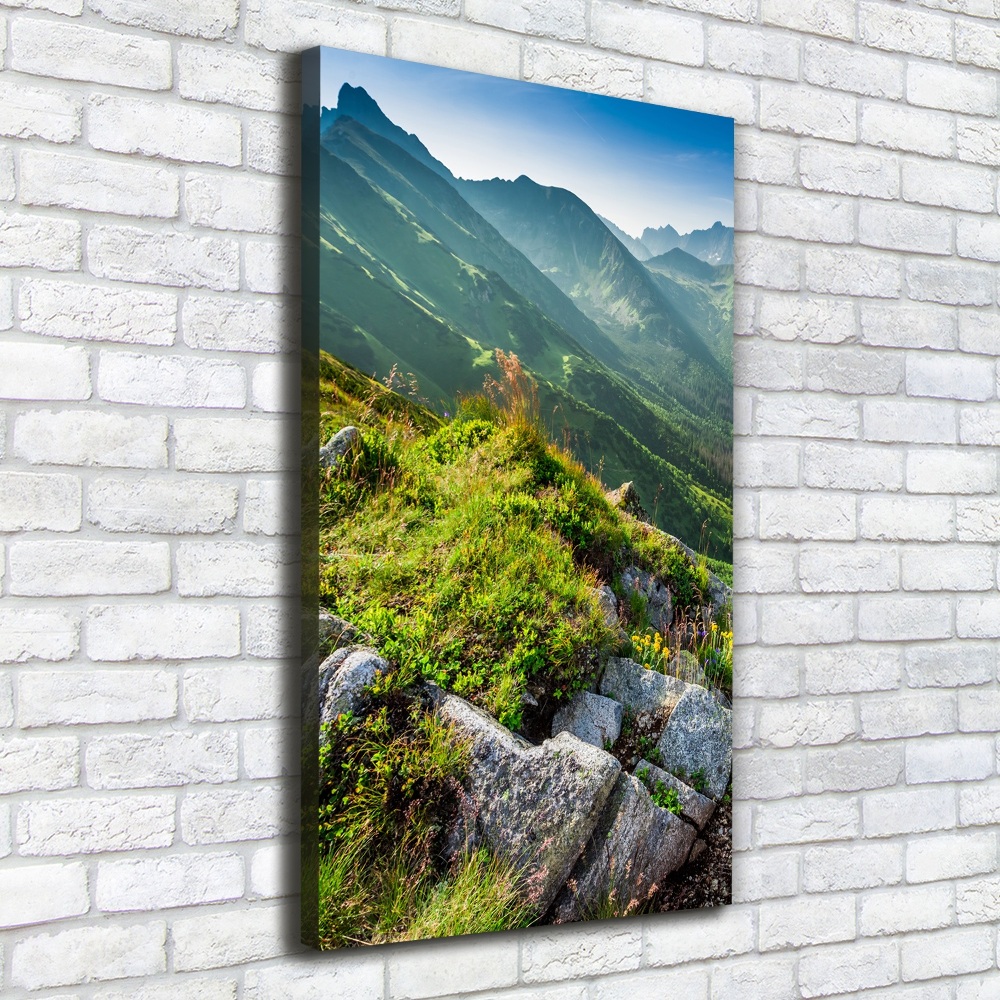 Tableau mural sur toile Montagnes en été