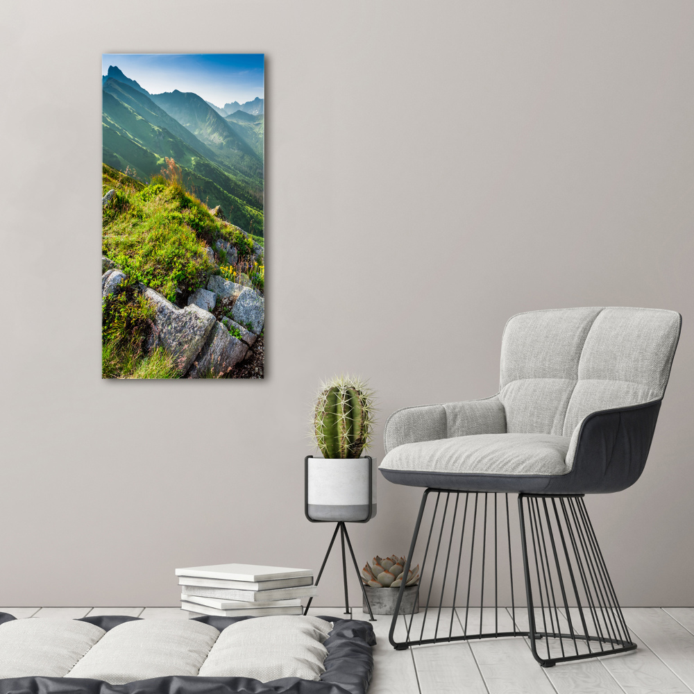 Tableau mural sur toile Montagnes en été