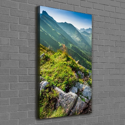 Tableau mural sur toile Montagnes en été