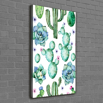 Tableau photo sur toile Cacti