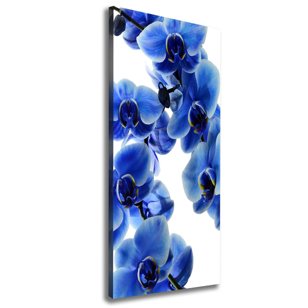 Tableau photo sur toile Orchidée bleue