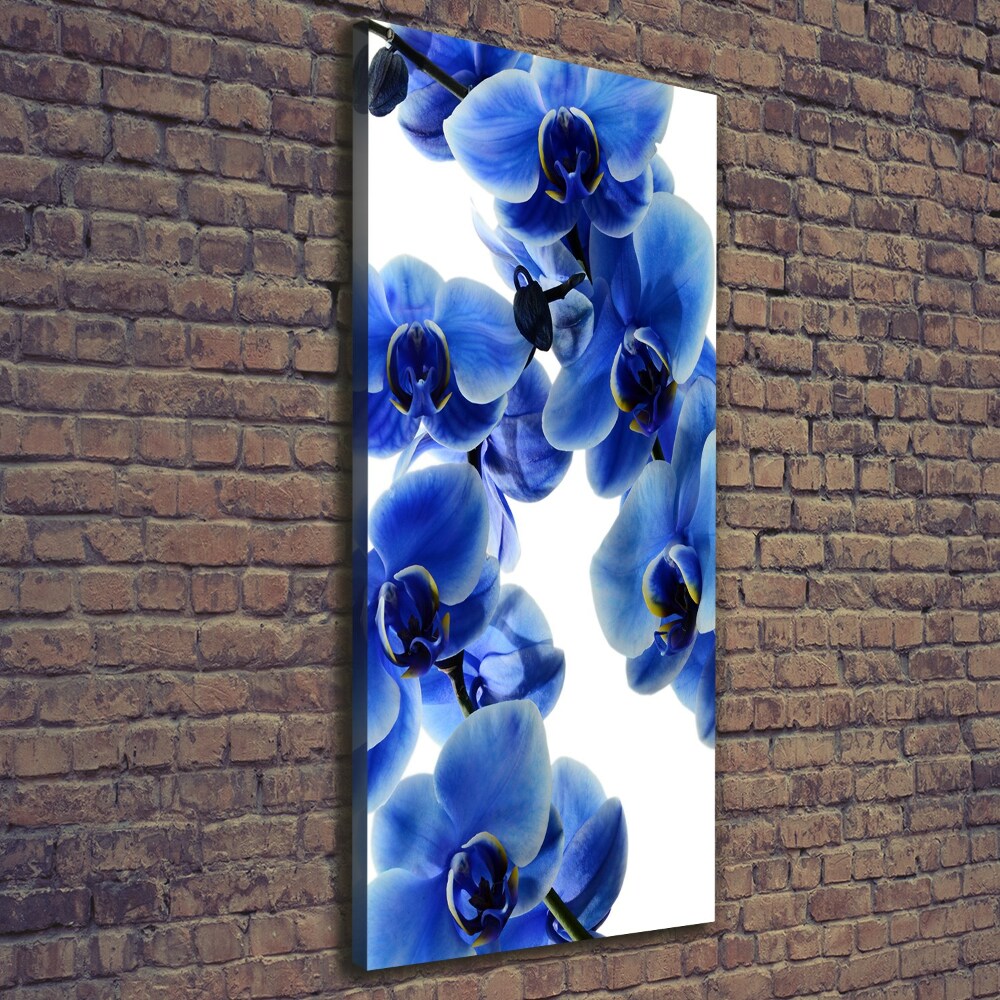 Tableau photo sur toile Orchidée bleue