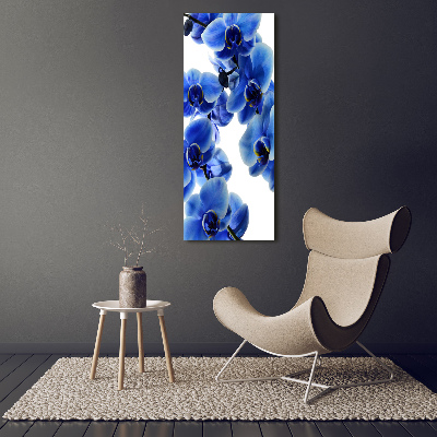 Tableau photo sur toile Orchidée bleue