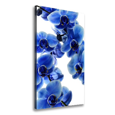 Tableau photo sur toile Orchidée bleue