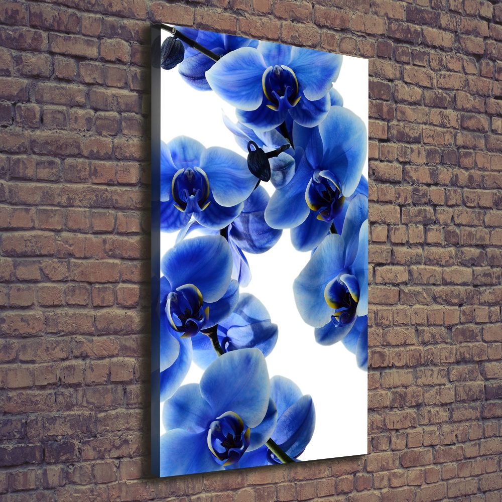 Tableau photo sur toile Orchidée bleue