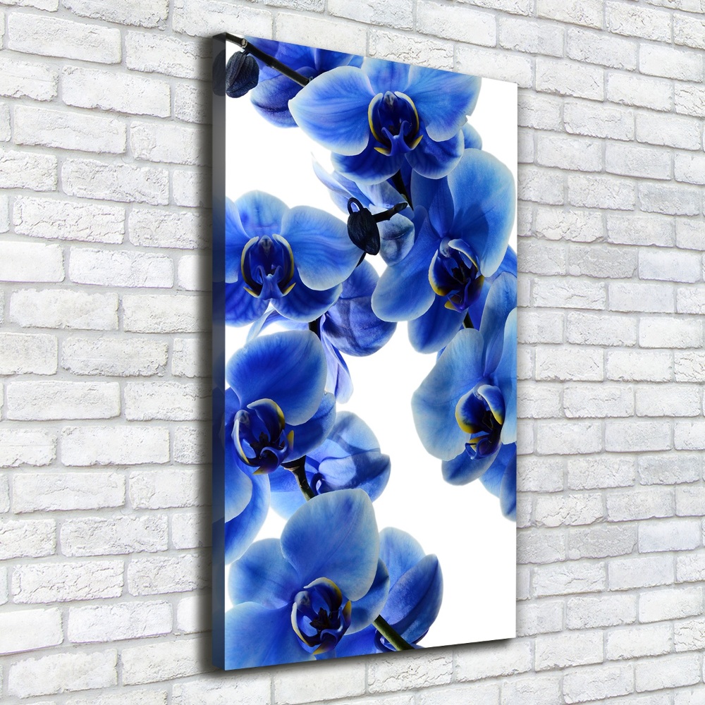 Tableau photo sur toile Orchidée bleue