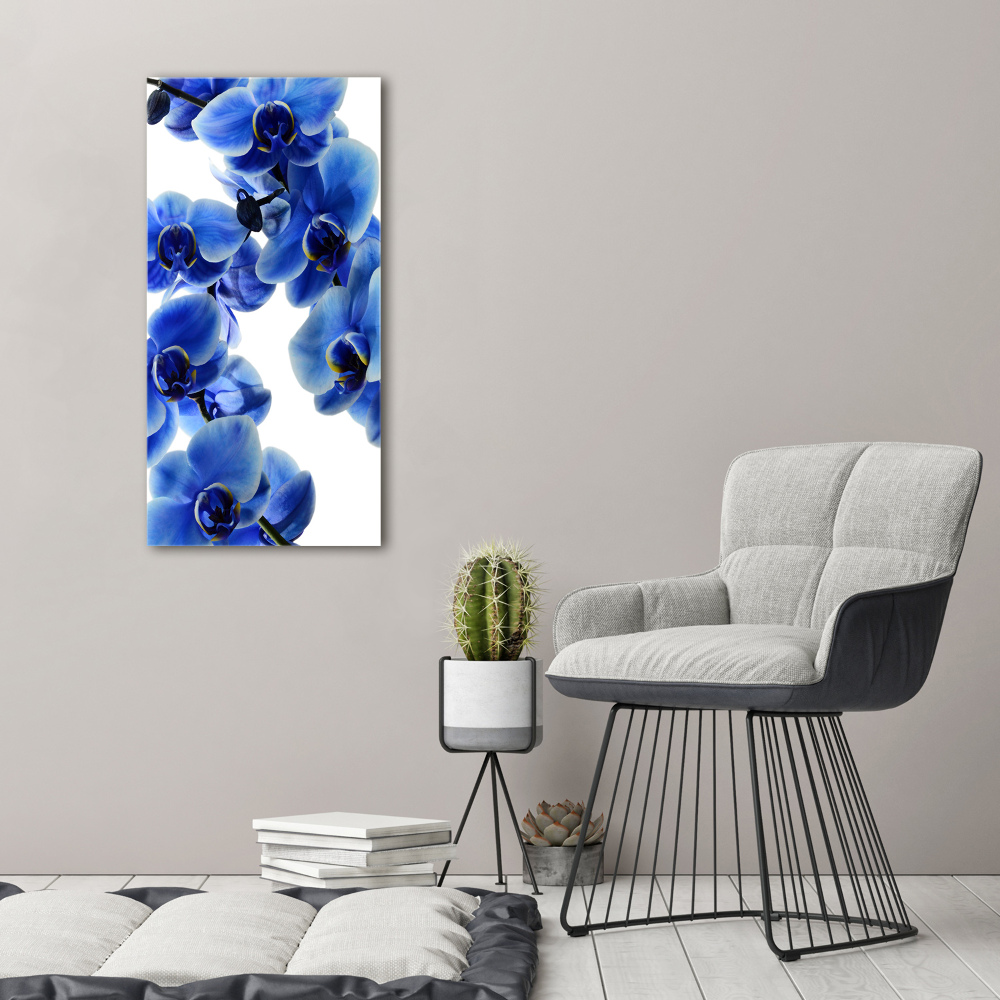 Tableau photo sur toile Orchidée bleue