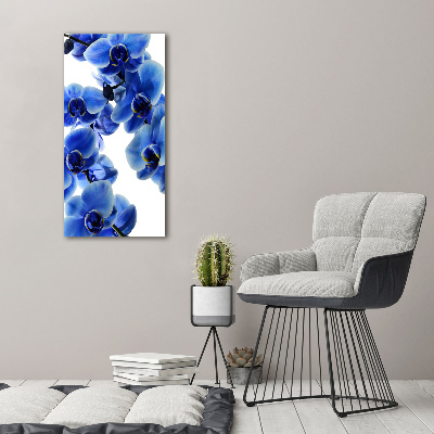 Tableau photo sur toile Orchidée bleue