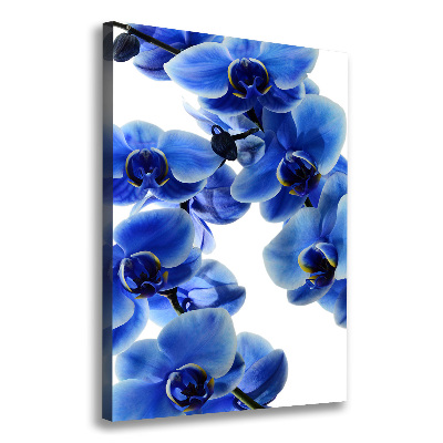 Tableau photo sur toile Orchidée bleue