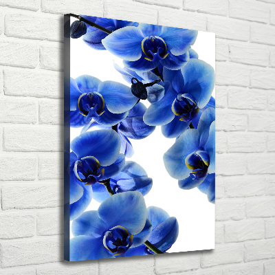 Tableau photo sur toile Orchidée bleue