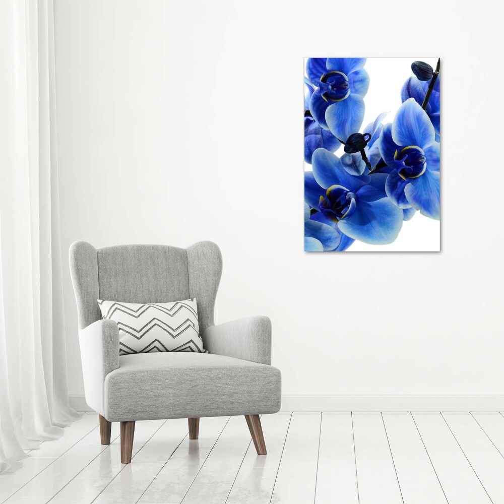 Tableau photo sur toile Orchidée bleue