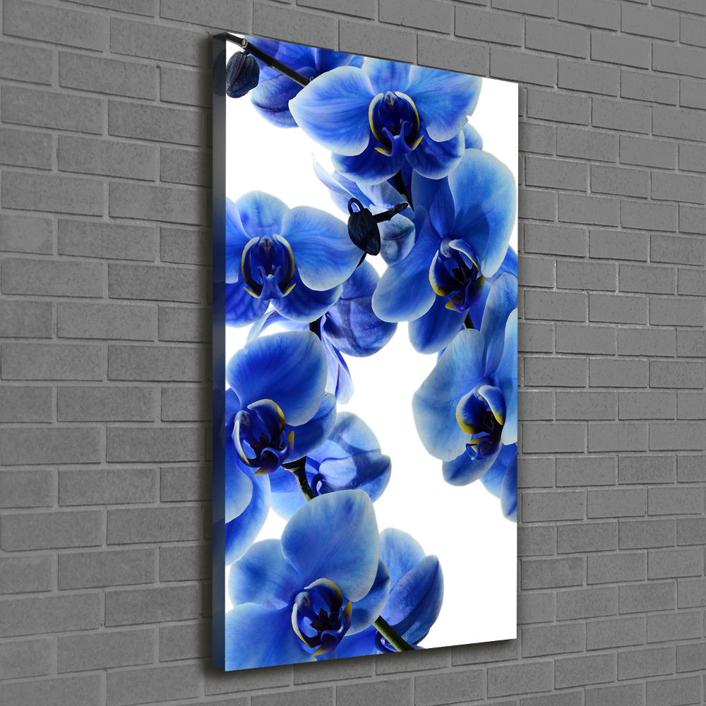 Tableau photo sur toile Orchidée bleue