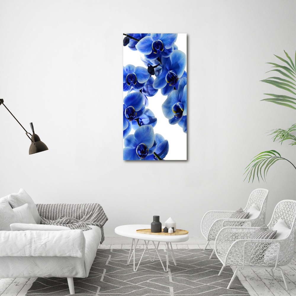 Tableau photo sur toile Orchidée bleue