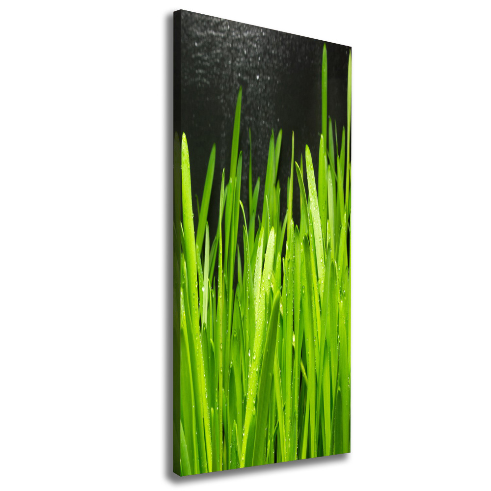 Tableau photo sur toile Tiges d'herbe