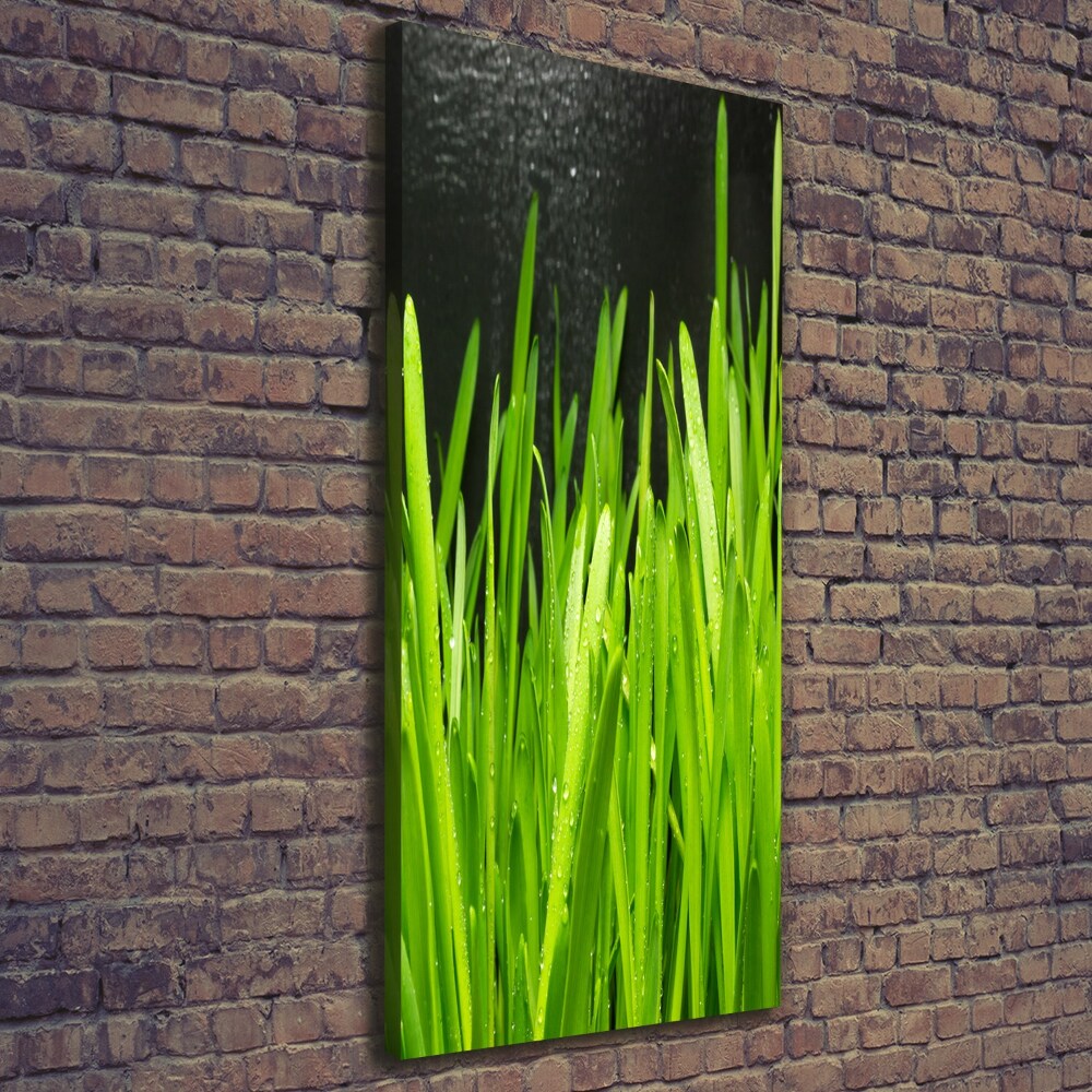 Tableau photo sur toile Tiges d'herbe