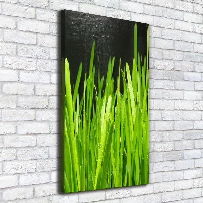 Tableau photo sur toile Tiges d'herbe