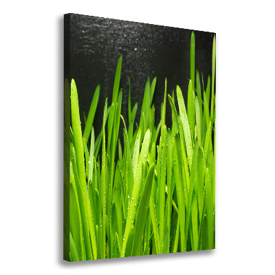 Tableau photo sur toile Tiges d'herbe