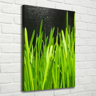 Tableau photo sur toile Tiges d'herbe