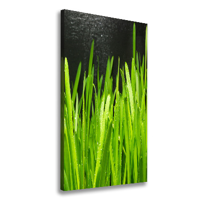 Tableau photo sur toile Tiges d'herbe