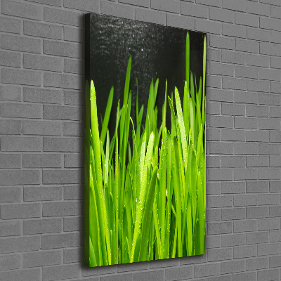 Tableau photo sur toile Tiges d'herbe