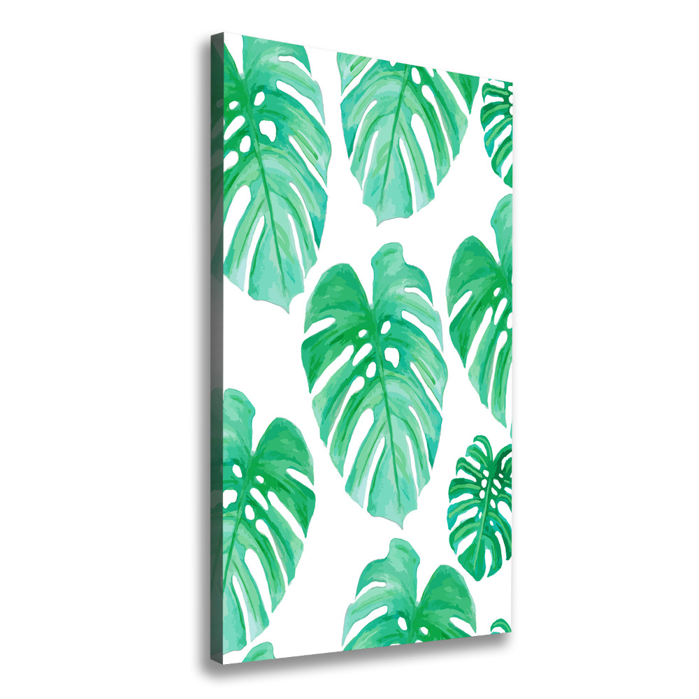 Tableau sur toile Monstera