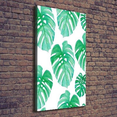 Tableau sur toile Monstera