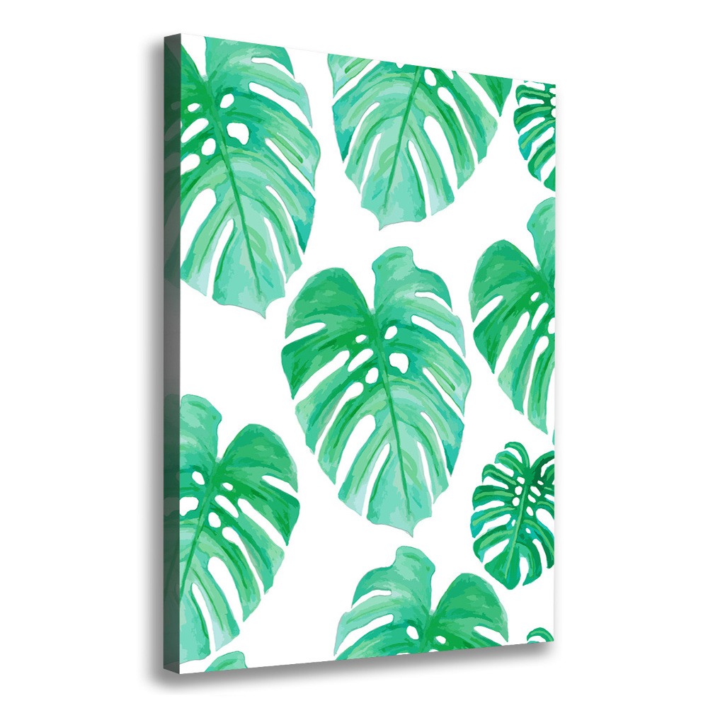 Tableau sur toile Monstera