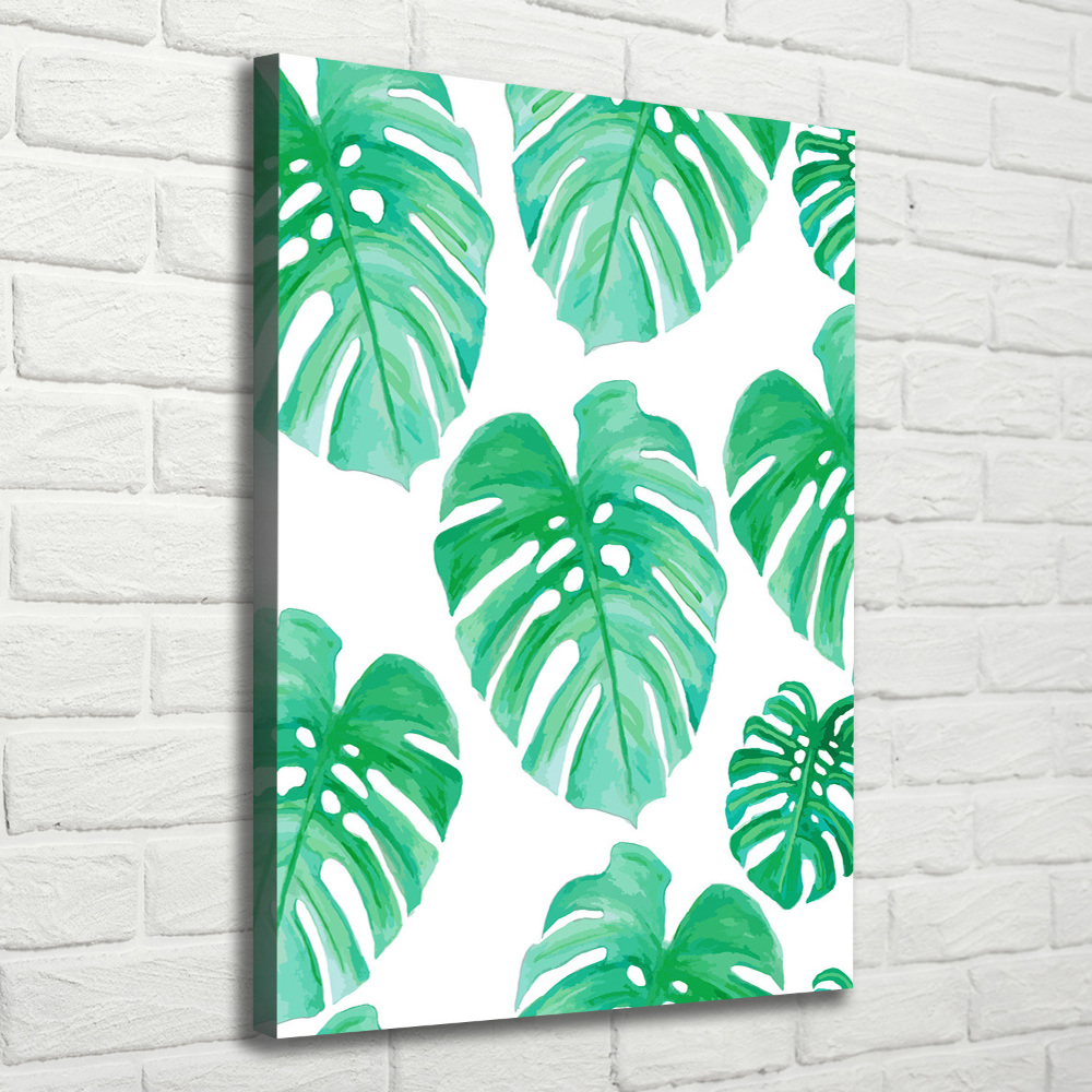 Tableau sur toile Monstera