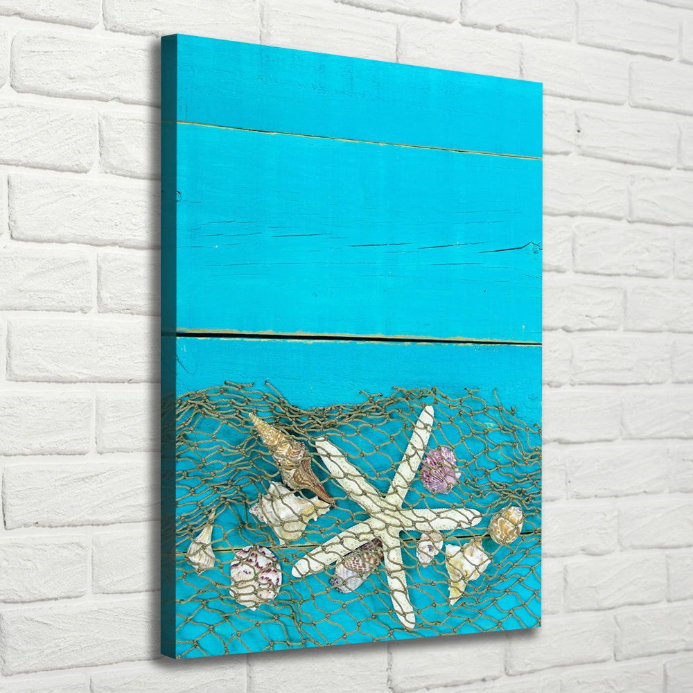 Tableau photo sur toile Coquillages et étoiles de mer